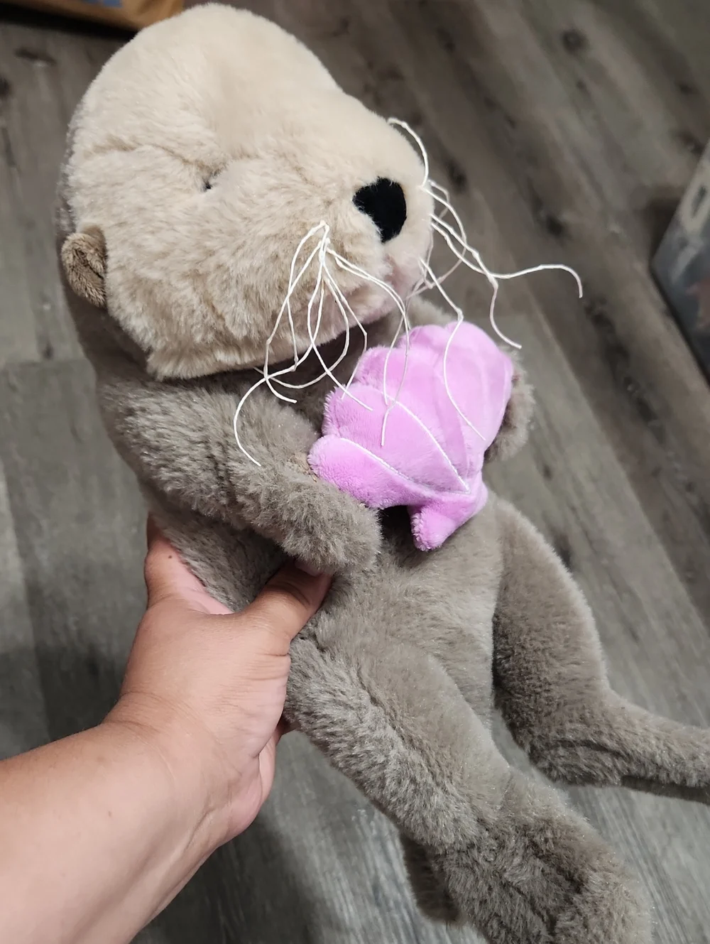 Plush Otter Holding Shell